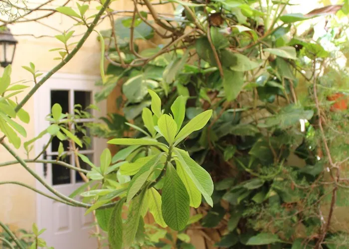 Maria Townhouse Heart Of 4* Victoria