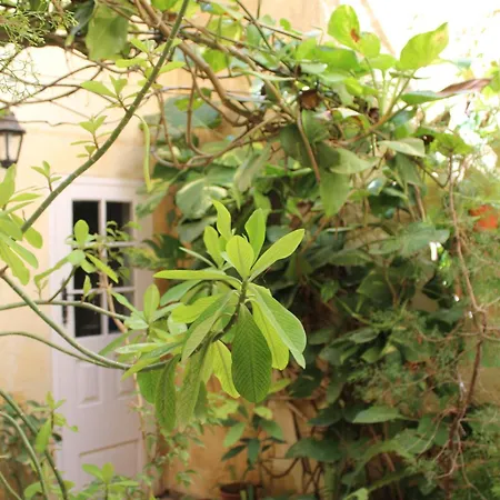 Maria Townhouse Heart Of 4* Victoria